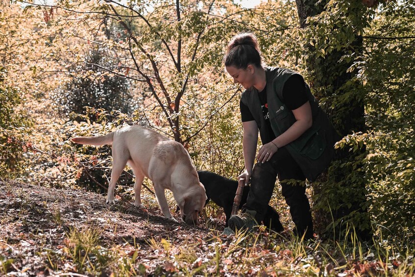 Picture 2 for Activity Paladini: Truffle Hunting Tour with 3-Course Tasting Menu