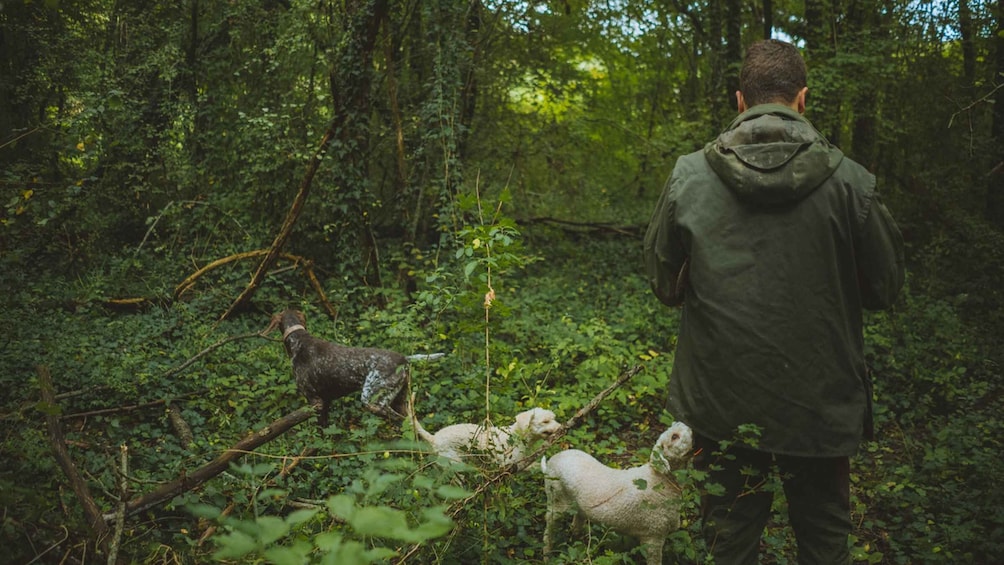 Picture 6 for Activity Paladini: Truffle Hunting Tour with 3-Course Tasting Menu