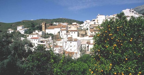 From Marbella: Axarquia Wine Tour with Wine Pairing Lunch