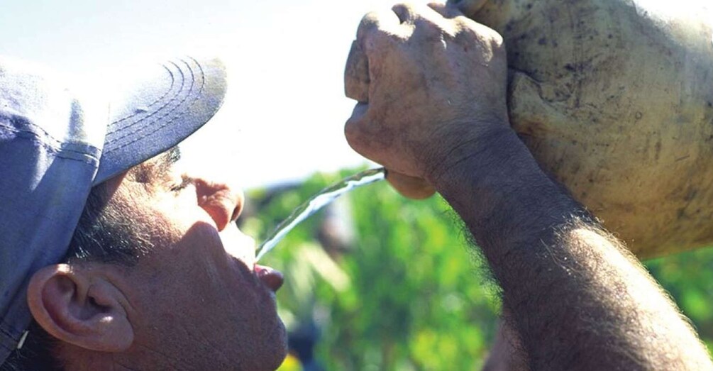 Picture 4 for Activity From Marbella: Axarquia Wine Tour with Wine Pairing Lunch