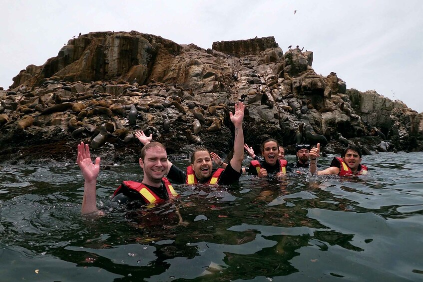 Picture 5 for Activity Lima: Ocean Swimming Adventure with Playful Sea lions