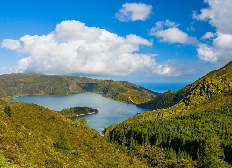 Picture 3 for Activity From Ponta Delgada: Lagoa do Fogo Half-Day Guided Trip