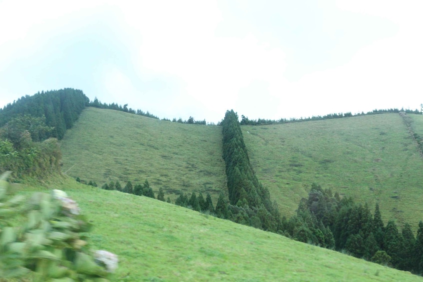 Picture 2 for Activity From Ponta Delgada: Lagoa do Fogo Half-Day Guided Trip