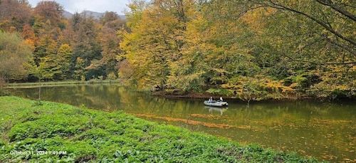 Ereván: recorrido privado por Tsaghkadzor, el lago Sevan y Dilijan