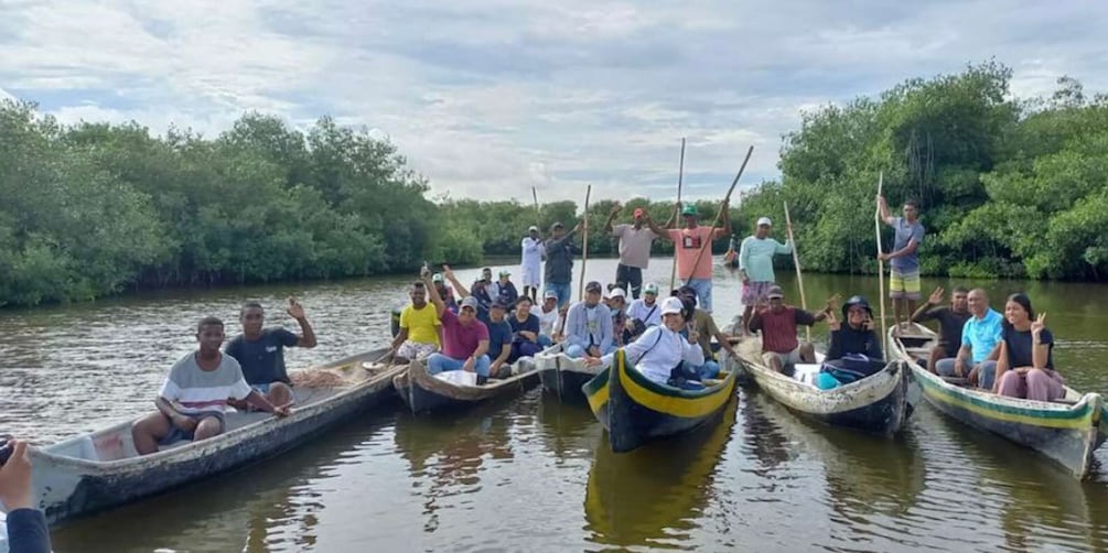 Cartagena: Canoe Tour through Mangroves