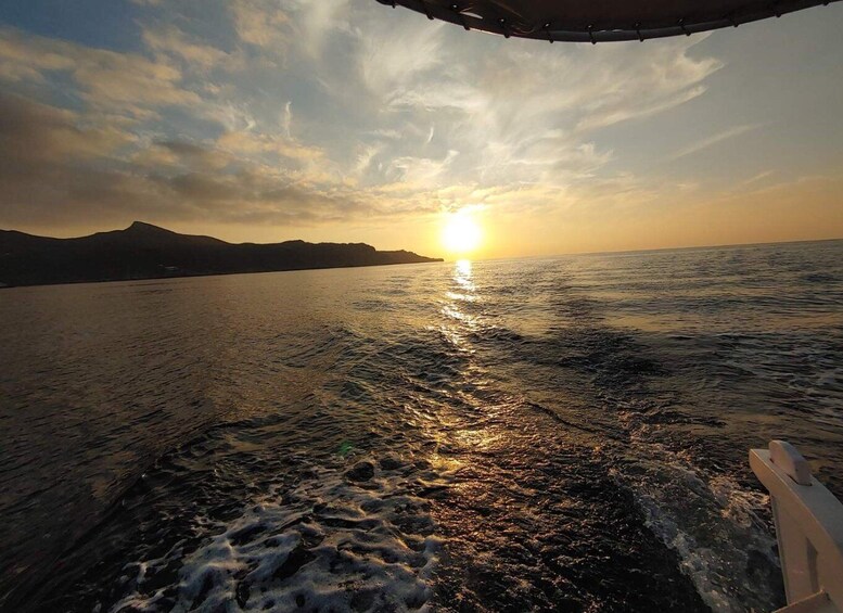 Picture 7 for Activity Naxos: Private Fishing Boat Trip with Fresh Onboard Meal