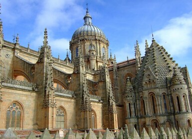 Salamanca: Private Tour mit einem Einheimischen