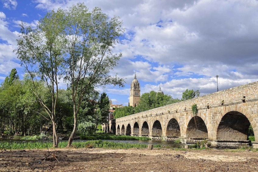 Picture 1 for Activity Salamanca: Private Tour with a Local