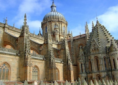 Salamanca: Private Tour with a Local