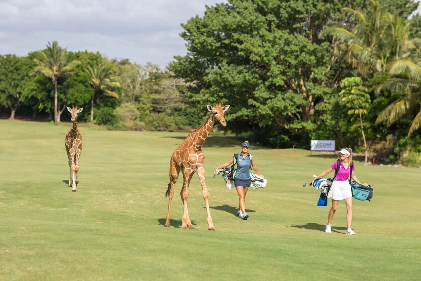 Picture 2 for Activity 3 nights Vipingo Golf Safari & Flight Tour