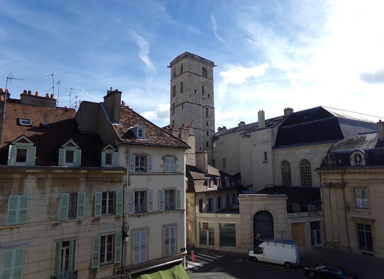 Picture 3 for Activity DIJON : Private Walking Tour