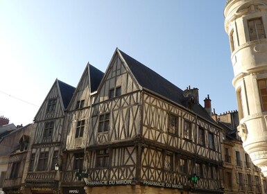 Dijon: Private Walking Tour – Discover History & Heritage