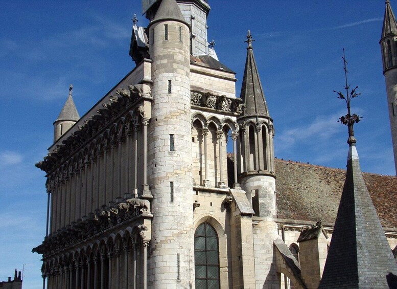 Picture 4 for Activity DIJON : Private Walking Tour