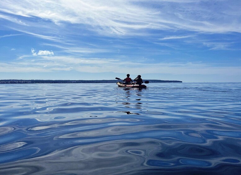 Picture 6 for Activity Kayak Tour Bay of Palma