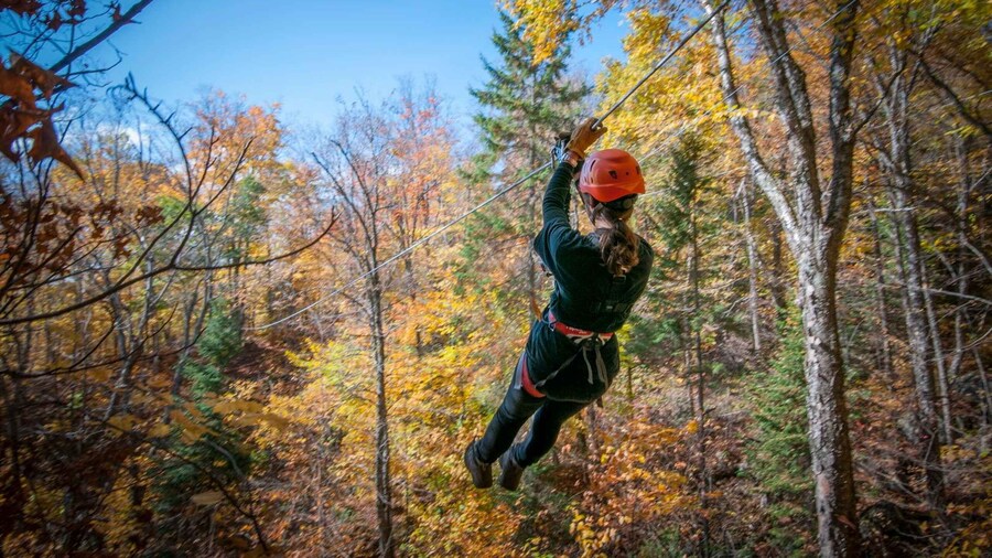 Mont-Tremblant: Ziplines - Nature Tours