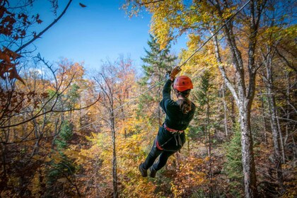 Mont-Tremblant: Ziplines - Nature Tours