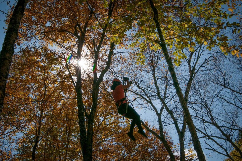 Picture 4 for Activity Mont-Tremblant: Ziplines - Nature Tours