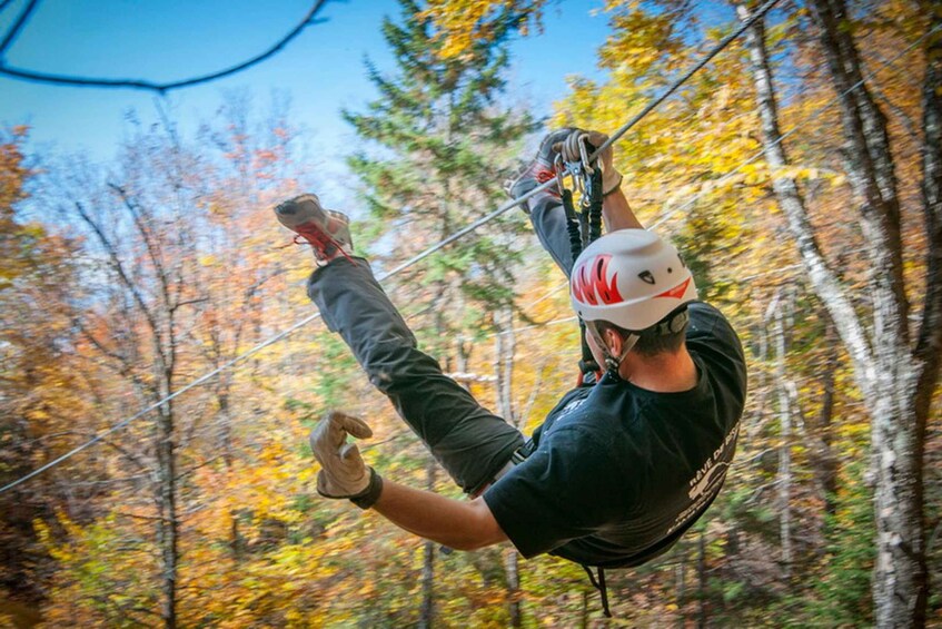 Picture 5 for Activity Mont-Tremblant: Ziplines - Nature Tours