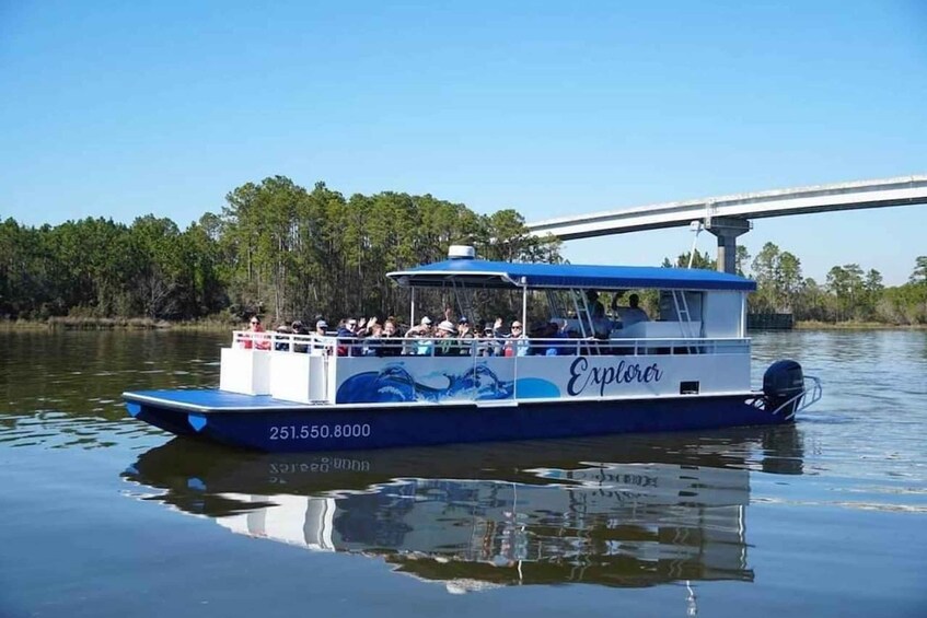 Picture 5 for Activity Orange Beach: Dolphin-Watching Sunset Catamaran Cruise