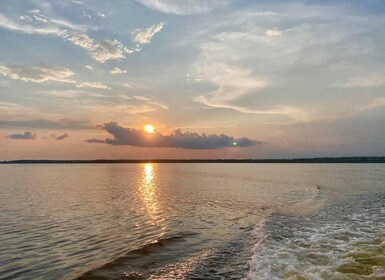 Orange Beach : Croisière catamaran coucher de soleil observation des dauphi...