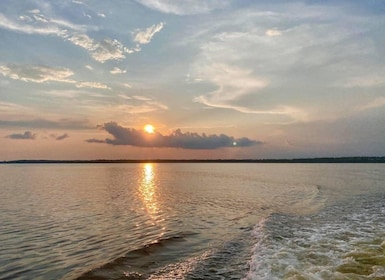 Dolphin and Nature Sunset Cruise from Orange Beach