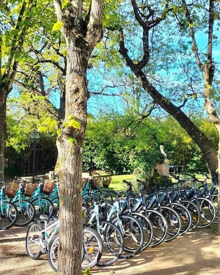 Picture 1 for Activity Gréoux-les-Bains: Bike Rental