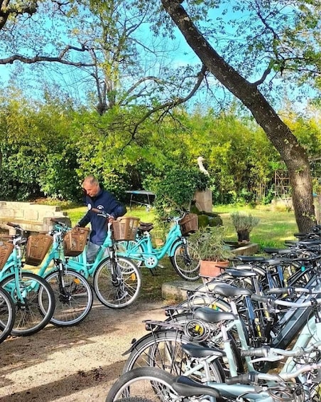 Picture 2 for Activity Gréoux-les-Bains: Bike Rental