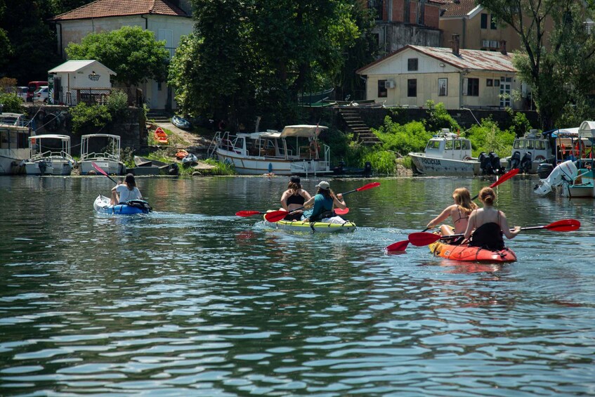 Picture 12 for Activity Skadar Lake: Individual Kayaking Experience