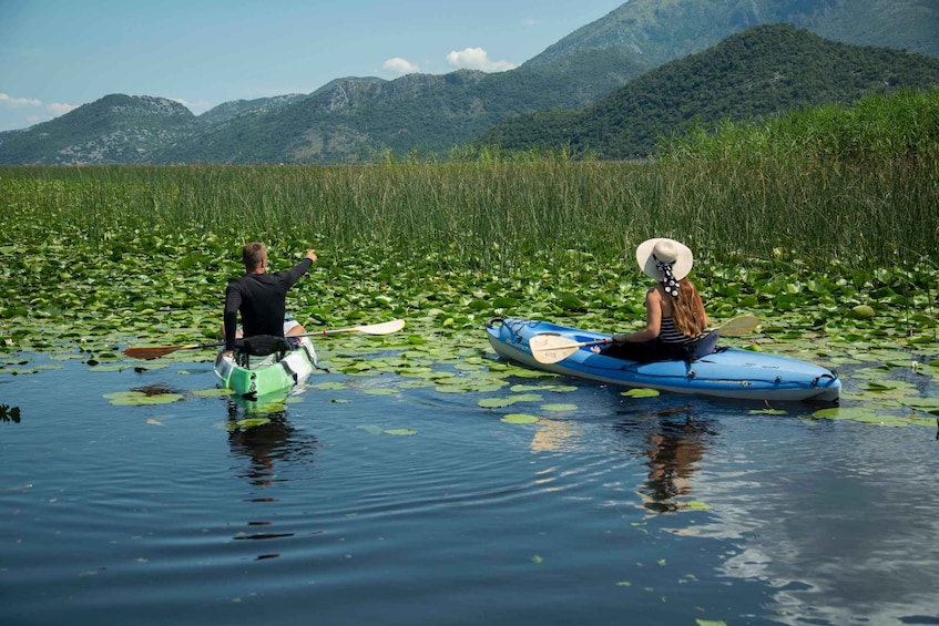 Picture 3 for Activity Skadar Lake: Individual Kayaking Experience