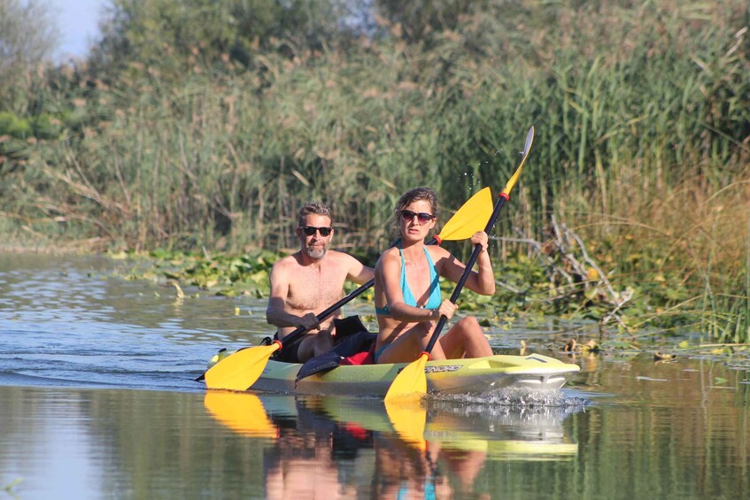 Picture 10 for Activity Skadar Lake: Individual Kayaking Experience