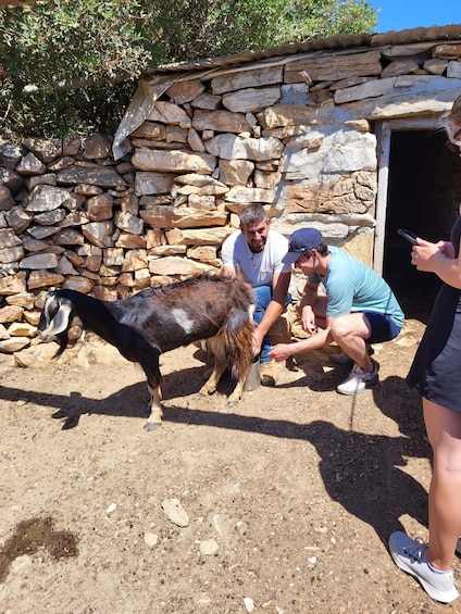 Naxos: Private E-Bike Tour with Lunch Ode-yssey Uncharted