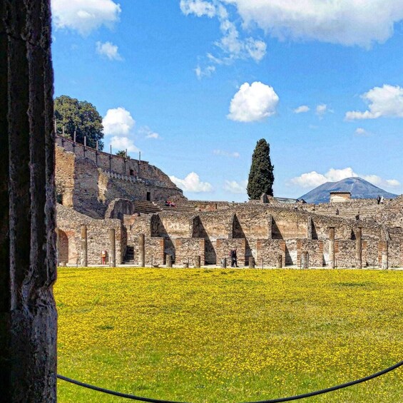 Picture 4 for Activity Pompeii Sunset tour for small group