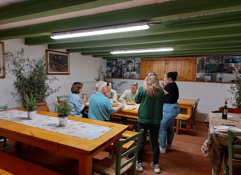 Picture 3 for Activity Sarteano: visit to the mill and oil tasting