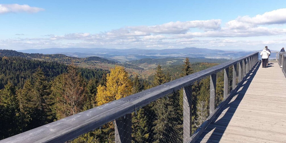 Picture 13 for Activity From Krakow: Slovakia Treetop Walk and Zakopane Tour