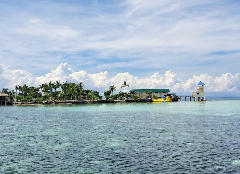 Picture 4 for Activity Cebu Nalusuan Island & Marine Sanctuary | Joiners Tour