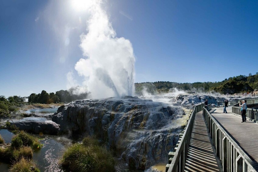 Rotorua: Te Puia Geothermal Valley Guided Tour with Tickets