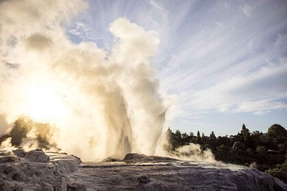 Te Puia: Dagopplevelse med guidet tur i Te Rā