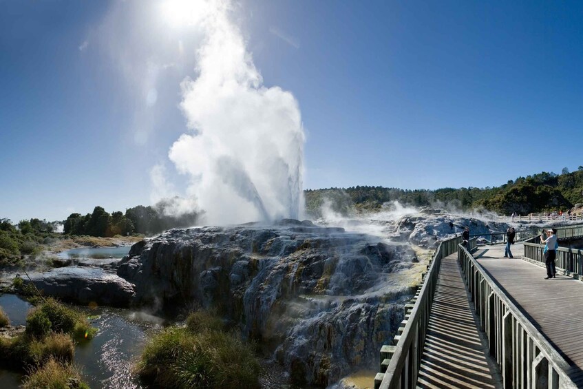 Te Puia: Te Rā Guided Tour Day Experience