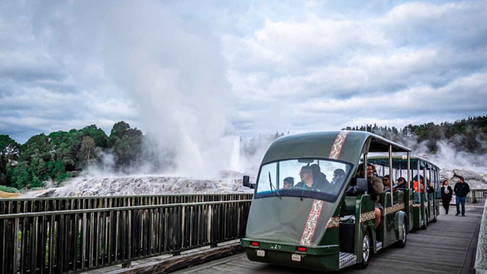 Picture 2 for Activity Rotorua: Te Puia Geothermal Valley Guided Tour with Tickets