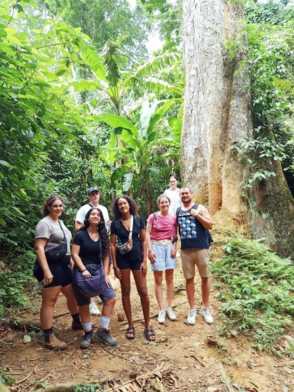 Picture 1 for Activity From Ninh Binh: 1 - Day Cuc Phuong National Park Group Tour