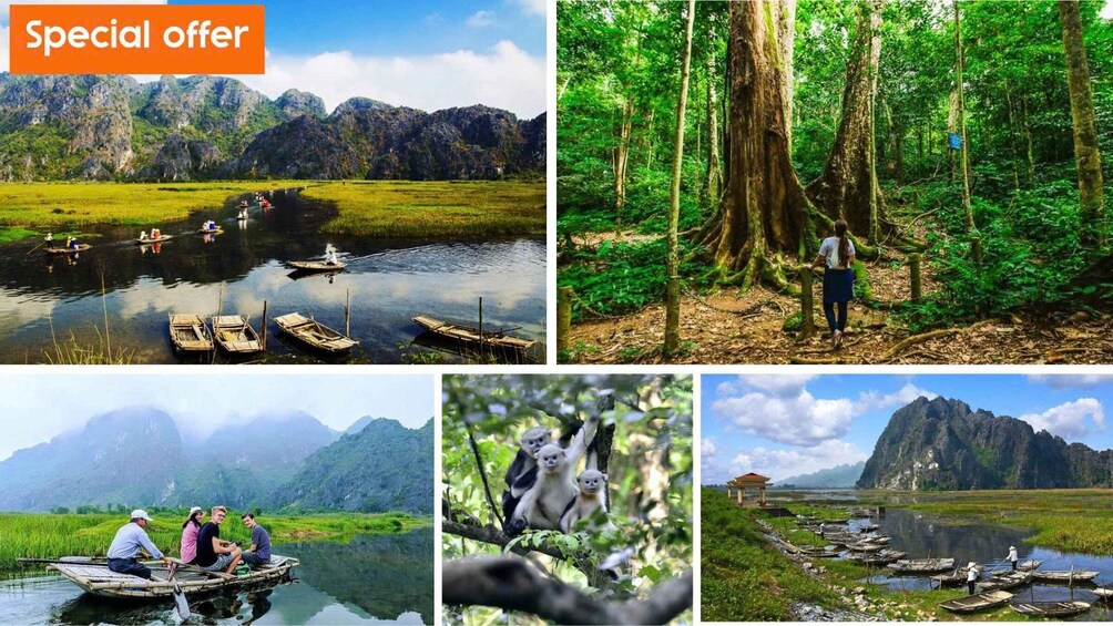 Ninh Binh Tour to Cuc Phuong - Van Long Reserve - Jeep Tours