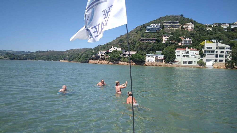 Picture 3 for Activity Knysna: Knysna Lagoon Pontoon Boat Cruise