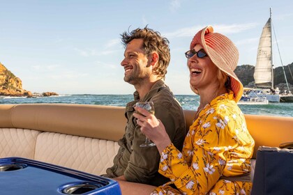 Knysna: Knysna Lagoon Pontoon Boat Cruise