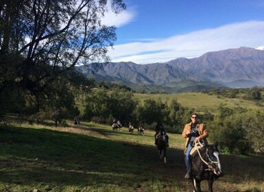 Santiago: Privates Reiten in den Andenausläufern. Halber Tag