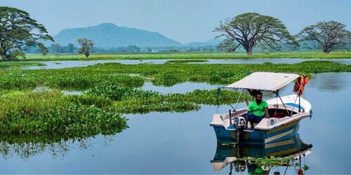 Yala: Sunset Tour by Boat & Beach BBQ Dinner!