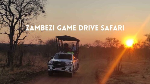 Victoria Falls: Zambezi Game Drive Safari