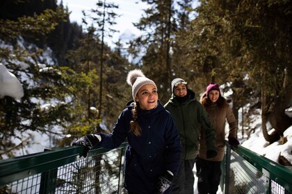 Banff: Johnston Canyon Explorer