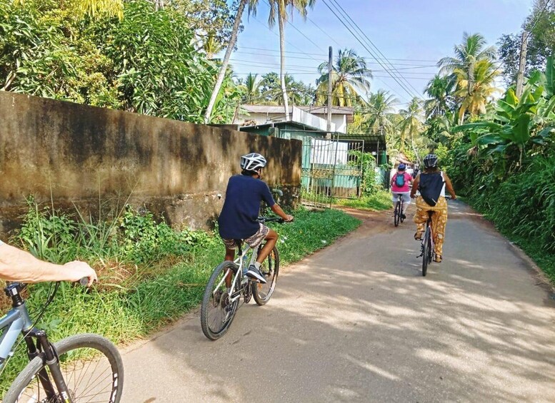 Picture 5 for Activity From Bentota/ Beruwala: Scenic Countryside Cycling Adventure