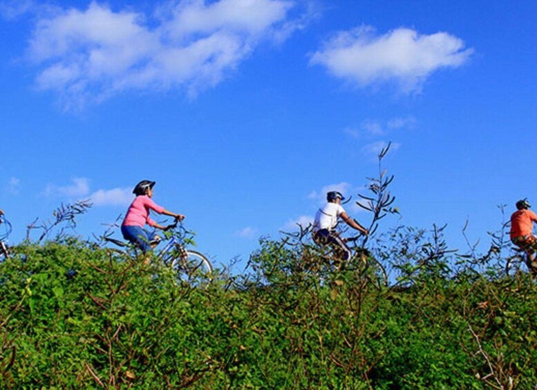 Picture 1 for Activity Bentota Bliss: Countryside Cycling Escape