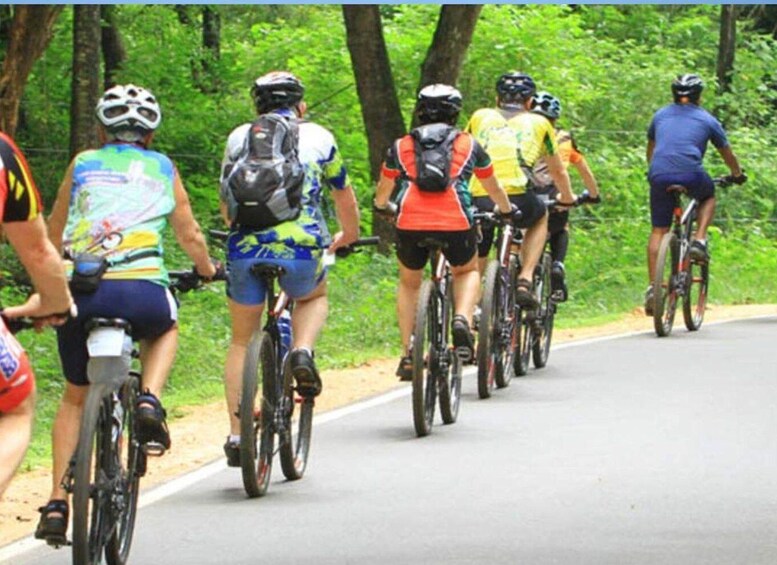 Picture 4 for Activity Bentota Bliss: Countryside Cycling Escape